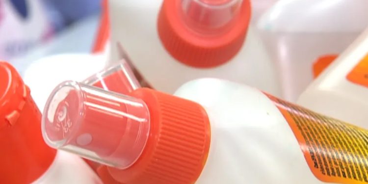 Saúde: Anvisa e dermatologista explicam qual o melhor repelente contra dengue