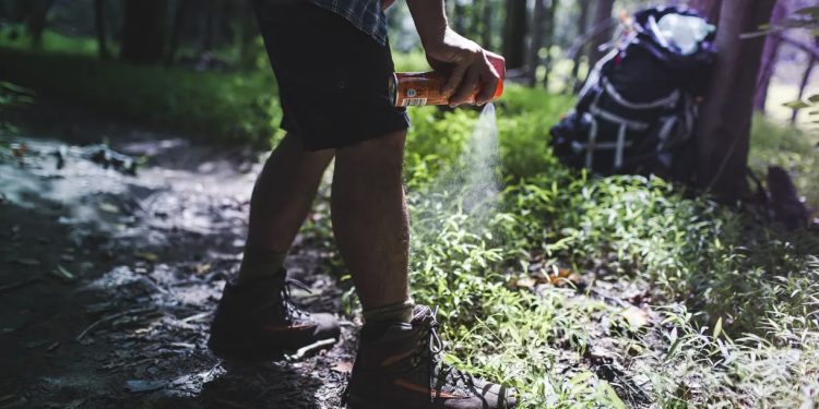Dengue: Anvisa recomenda três tipos de repelente contra mosquito
