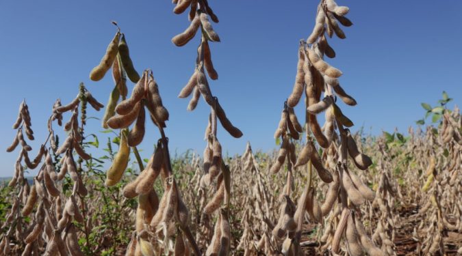 Economia: CNA pede que governo adote medidas emergenciais de apoio a produtores rurais