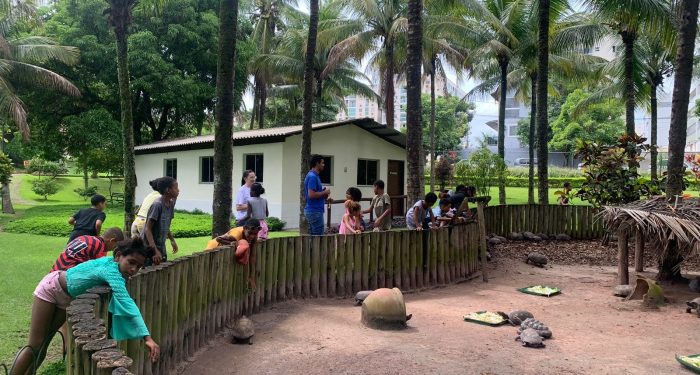 Vitória: Crianças do bairro do Quadro terão atividades ambientais na Mata Paludosa