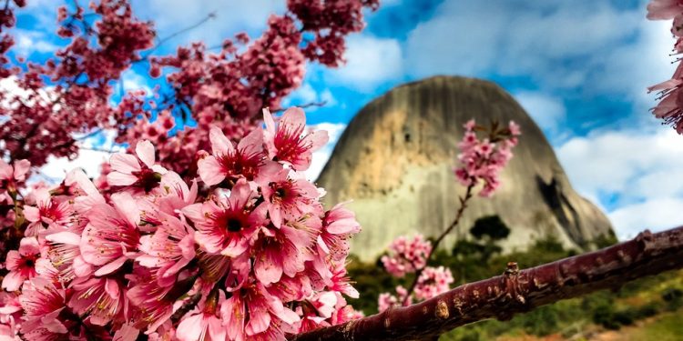 Turismo: Espírito Santo é escolhido como terceiro estado mais acolhedor do Brasil