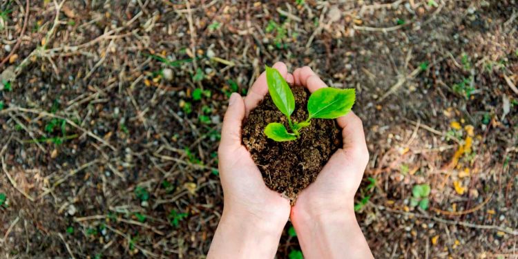 Anchieta: Prefeitura abre inscrições para curso de formação continuada em Educação Ambiental