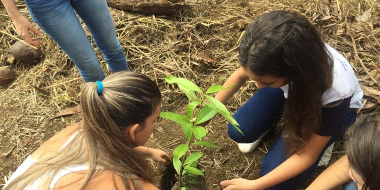 Anchieta: Meio Ambiente apresenta ações para 2024