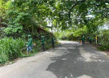Alfredo Chaves: Prefeitura faz operação tapa-buraco na rodovia que liga a ES 146 a comunidade de Cachoeira Alta