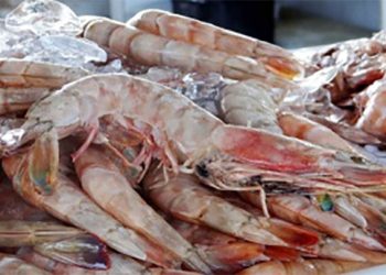 Vitória: Vigilância Sanitária orienta comércio de pescados e frutos do mar na Semana Santa