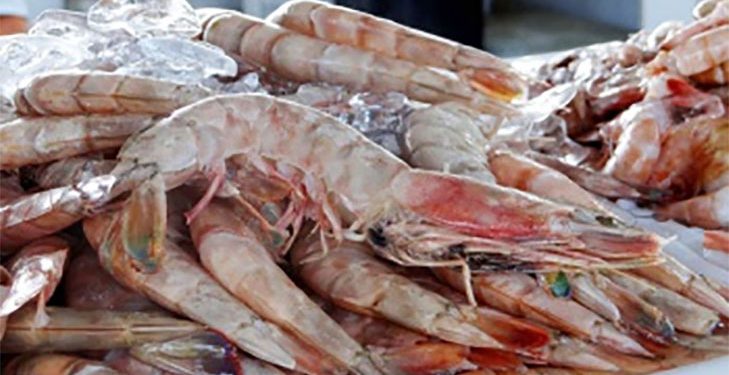Vitória: Vigilância Sanitária orienta comércio de pescados e frutos do mar na Semana Santa