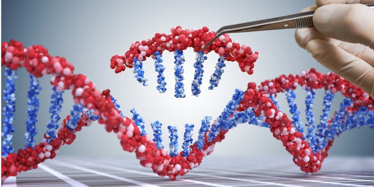 Mundo: Terapia genética restaura a audição em cinco das seis crianças surdas