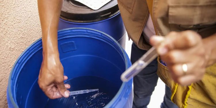 Epidemia: Saúde passa a recomendar testes rápidos para diagnóstico de dengue