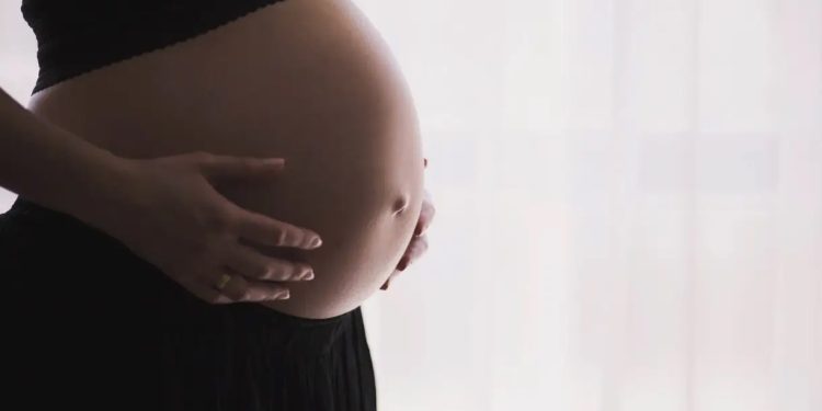 Brasil: Casos de dengue em grávidas aumentaram 345,2% em 2024