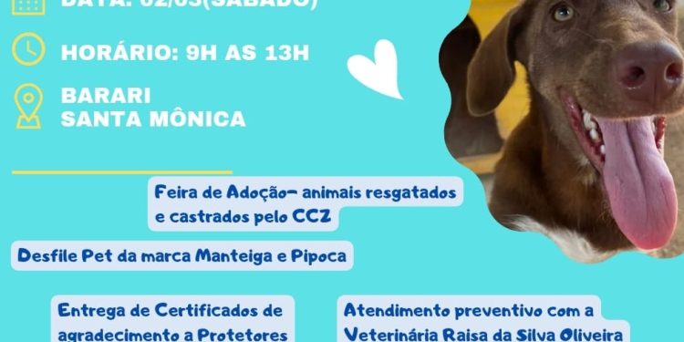 Guarapari: Pet Day acontece com feira de adoção e desfile de moda no sábado (2)