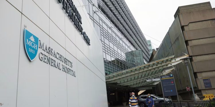 EUA: Cirurgiões realizam primeiro transplante de rim de porco para humano