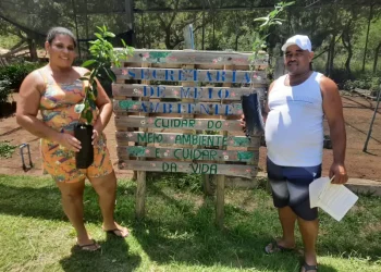 Kennedy: Prefeitura promove projeto Pomar Urbano e Rural