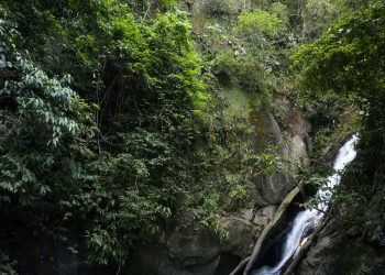 Turismo: Parques nacionais do Brasil batem recorde de público em 2023