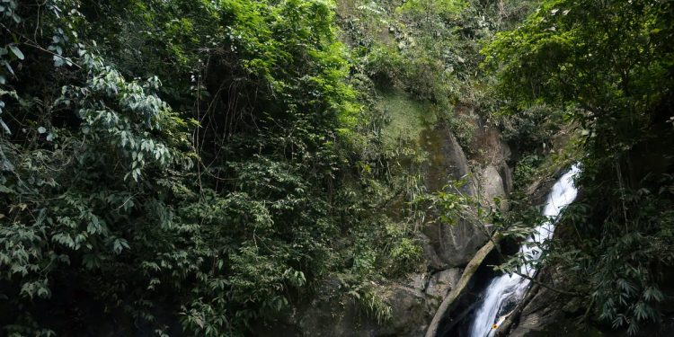 Turismo: Parques nacionais do Brasil batem recorde de público em 2023