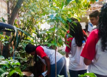 Piúma: Saúde promove ação integrada e preventiva contra a dengue na cidade