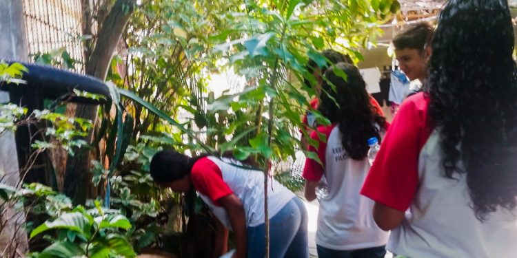 Piúma: Saúde promove ação integrada e preventiva contra a dengue na cidade