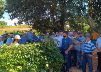 Anchieta: Prefeitura oferece treinamento para produtores de maracujá