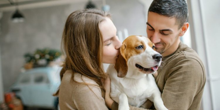 Saúde: Os benefícios dos animais para pessoas com transtornos psicológicos