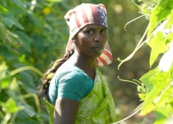 Pesquisa: Efeito do calor extremo sobre abortos espontâneos detectado em estudo