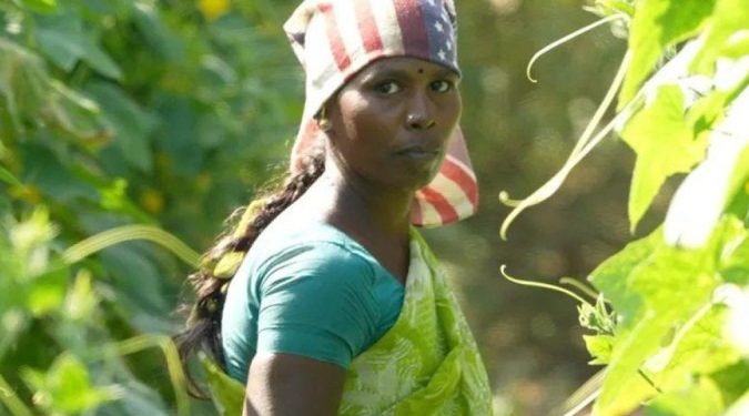 Pesquisa: Efeito do calor extremo sobre abortos espontâneos detectado em estudo