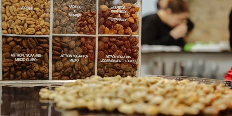 Espírito Santo: Feira ES+Café promove imersão no universo da cafeicultura capixaba