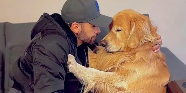 Gol: Cachorro morre após ser embarcado em voo errado
