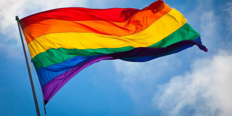 Justiça: Pessoas LGBTQIA+ podem escolher pela ala masculina ou feminina do presídio