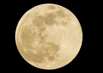 Brasil: ‘Lua Cheia Rosa’ poderá ser vista nesta terça-feira (23)