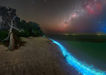 Turismo: ‘Mar de Estrelas’ é uma das principais atrações turísticas das Maldivas
