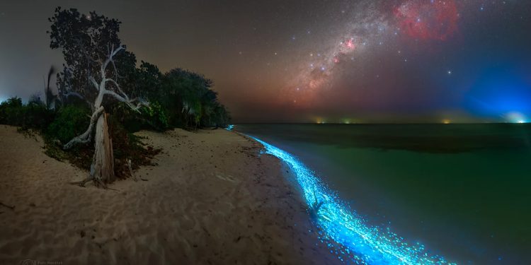 Turismo: ‘Mar de Estrelas’ é uma das principais atrações turísticas das Maldivas