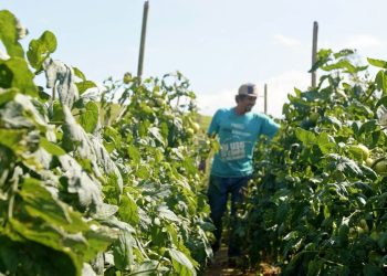 Kennedy: Prefeitura reafirma compromisso com o homem do campo