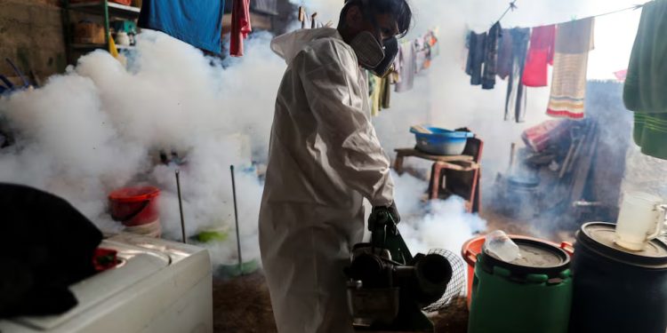 Peru: Mortes por dengue no Peru triplicam com aumento da população de mosquitos