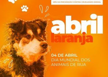 Piúma: Prefeitura se mobiliza na luta contra a crueldade animal no Abril Laranja