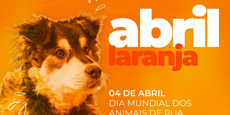 Piúma: Prefeitura se mobiliza na luta contra a crueldade animal no Abril Laranja