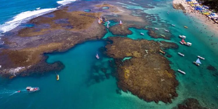 Turismo: Brasil terá fundo para preservar corais