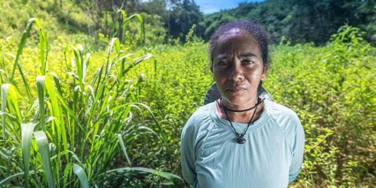 Meio Ambiente: Quilombolas processam mineradora britânica na Chapada Diamantina