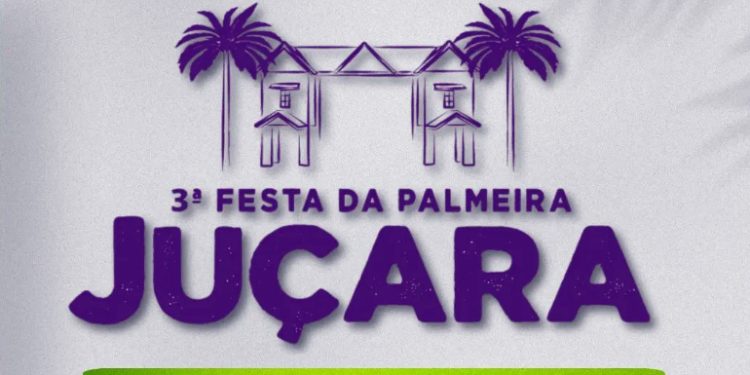 Rio Novo: Cidade se prepara para a 3ª Festa da Palmeira Juçara