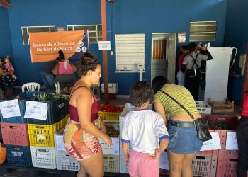 Vitória: Banco de Alimentos entrega kits com frutas, legumes e tilápia
