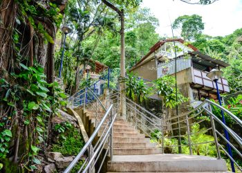 Vitória: Parque Gruta da Onça recebe grupo atendido pela Assistência Social municipal