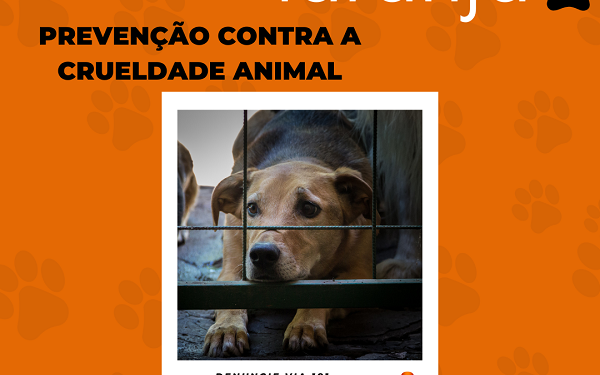Causa Animal: BPMA promove campanha “Abril Laranja”