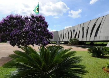 Brasil: STJ amplia prazo para vítimas de abuso pedirem indenização na Justiça