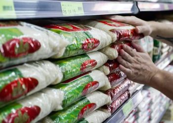 Economia: Agro do RS diz que importação de arroz não era necessária e critica decisão do governo