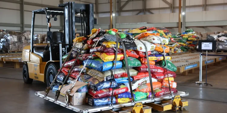 Rio Grande do Sul: Avião da FAB leva 20 toneladas de ração para pets