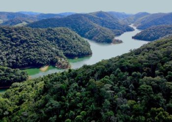 Espírito Santo: Estado registra diminuição de quase 33% no número de desmatamento ilegal