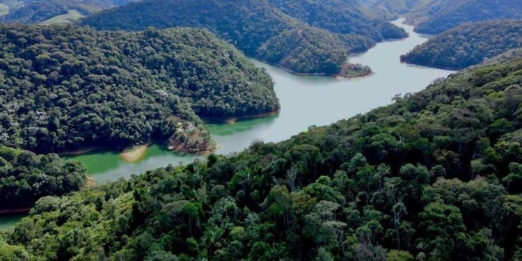 Espírito Santo: Estado registra diminuição de quase 33% no número de desmatamento ilegal