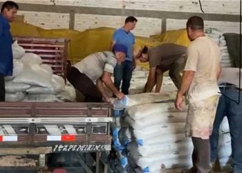 Itapemirim: Fertilizantes impulsionam produção agrícola