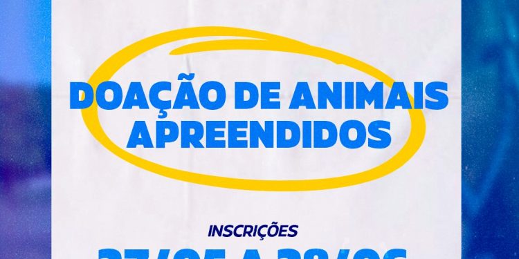 Piúma: Prefeitura faz Chamamento Público para doação de animais apreendidos