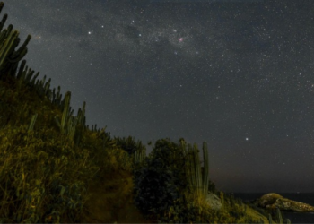 Turismo: Destinos brasileiros oferecem excelente gastronomia, lindas praias e passeios por oásis intocáveis