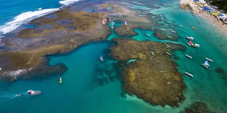 Turismo: Brasil terá fundo para preservar corais