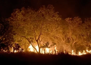 Meio Ambiente: Queimadas na Amazônia mais do que dobraram nos primeiros meses de 2024